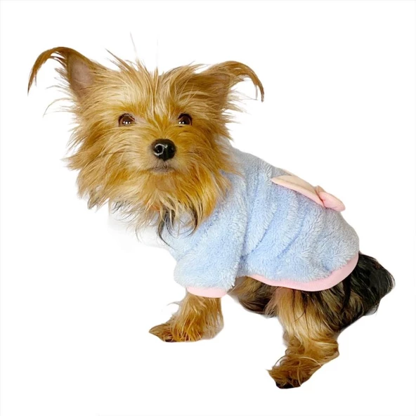 Softie Blue Bunny Kapşonlu Sweat by Kemique Köpek Kazağı - Resim 5