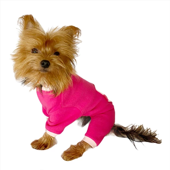 Pink Hearts Polar Kapşonlu Köpek Tulumu,Kıyafeti - 2