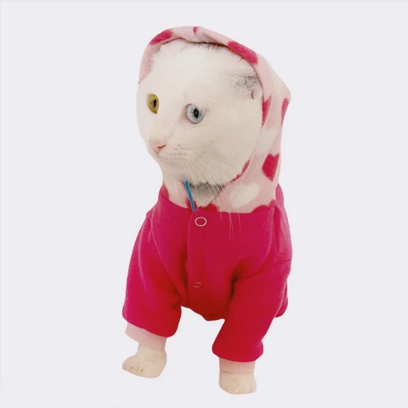 Pink Hearts Polar Kedi Tulumu Kedi Kıyafeti - 8