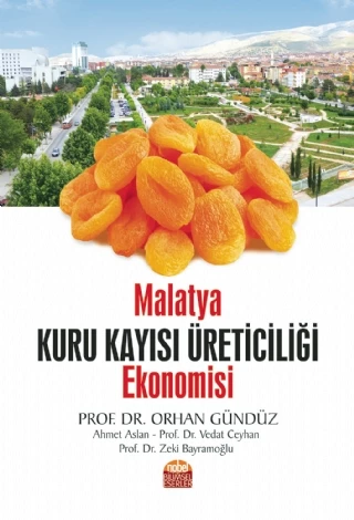 Malatya Kuru Kayısı Üreticiliği Ekonomisi - 1