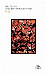 Biraz Sonbahar Biraz Hüzün (Öykü)