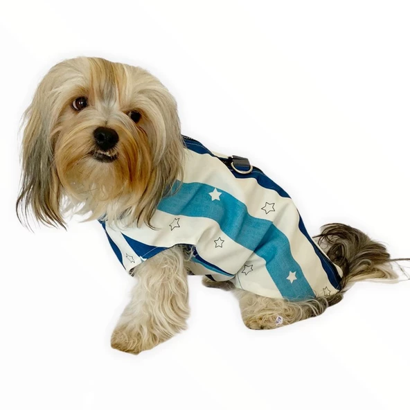 Blue Stars Su itici Yağmurluk Köpek Yağmurluğu - 5