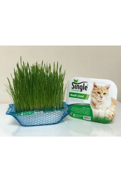 Bio PetActive Single Natural Kedi Çimi