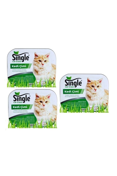 SINGLE Natural Kedi Çimi (3 Adet)