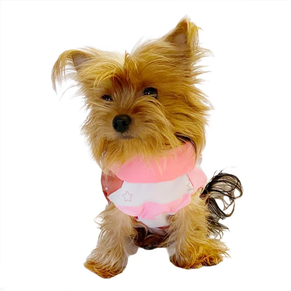 Pink Stars Su itici Yağmurluk Köpek Yağmurluğu - 6