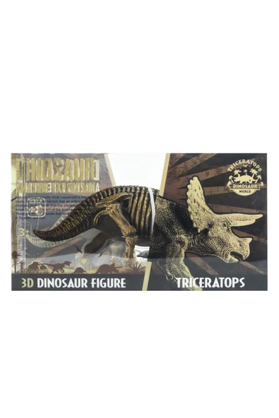 Minik Paleontologların Yeni Favorisi: Yarı İskelet Triceratops Seti - 3