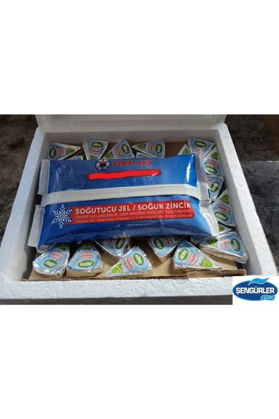 Sütaş ÜÇGEN PEYNİR 12,5GR x 48 ADET - 2