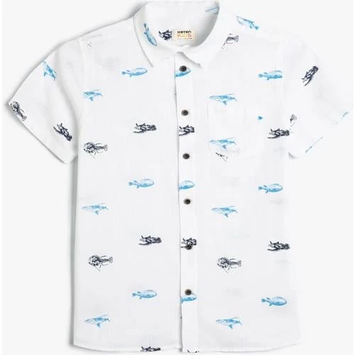 SHIRTS SS - 9