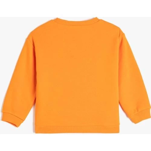 SWEATSHIRTS - Resim 3