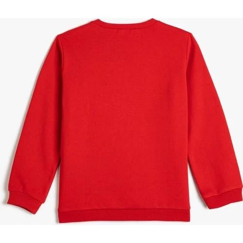 SWEATSHIRTS - 4