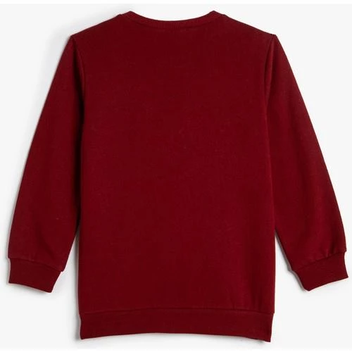 SWEATSHIRTS - Resim 2