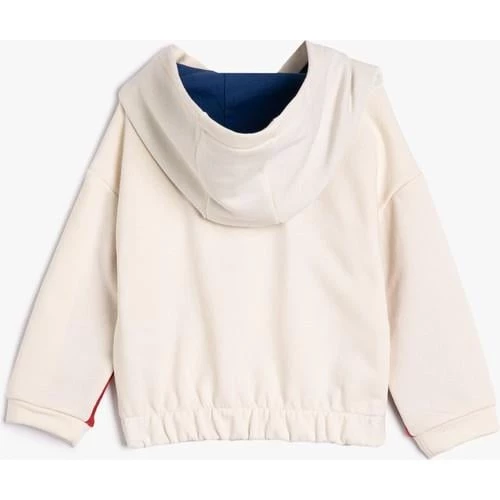 SWEATSHIRTS - Resim 11