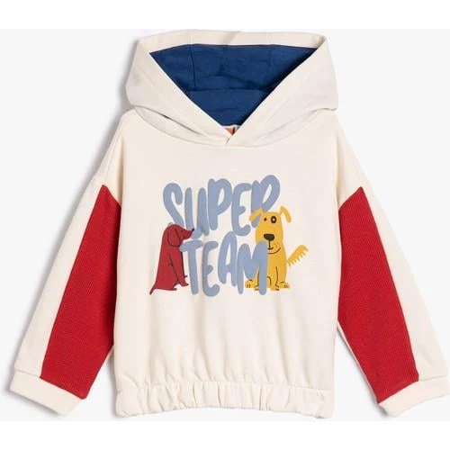 SWEATSHIRTS - Resim 4