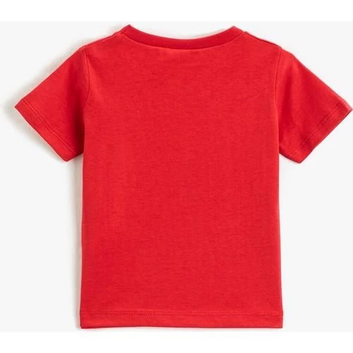 SLOGAN BASKILI TSHIRT SS - 5