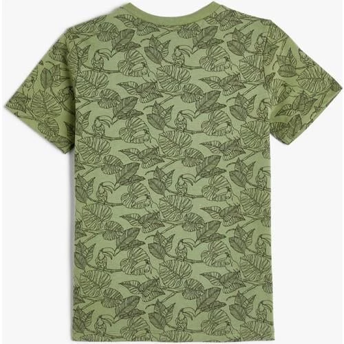 TSHIRT SS - 8