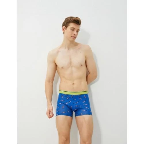 BOXERS BSC
