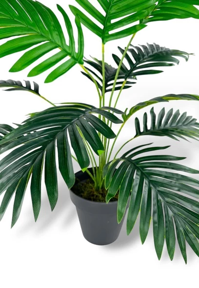 Nettenevime Yapay Ağaç Salon Bitkisi Areka Palmiye Siyah Saksıda 60cm 12 Yaprak Plastik - Resim 3