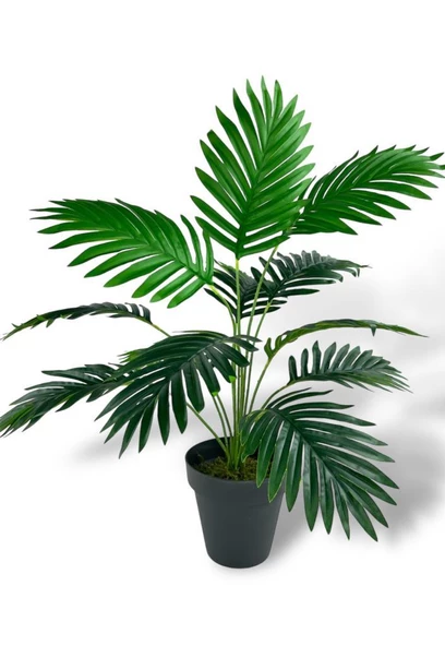 Nettenevime Yapay Ağaç Salon Bitkisi Areka Palmiye Siyah Saksıda 60cm 12 Yaprak Plastik - Resim 4