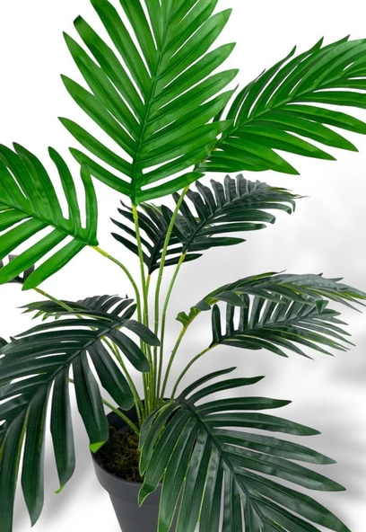 Nettenevime Yapay Ağaç Salon Bitkisi Areka Palmiye Siyah Saksıda 60cm 12 Yaprak Plastik - Resim 6