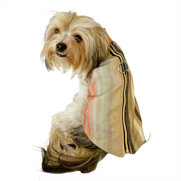 Stripe Orange Su itici Yağmurluk Köpek Yağmurluğu - 2