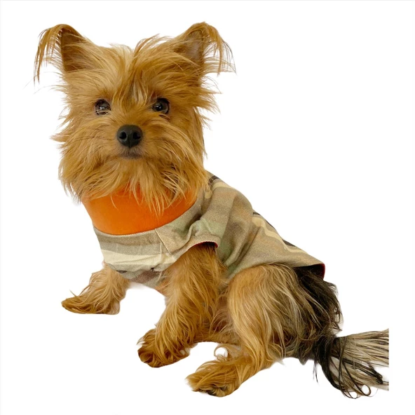 Stripe Orange Su itici Yağmurluk Köpek Yağmurluğu - 10