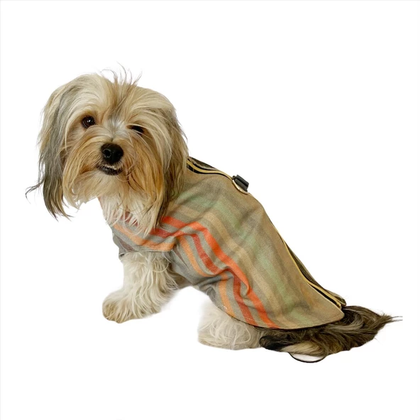 Stripe Orange Su itici Yağmurluk Köpek Yağmurluğu - 6