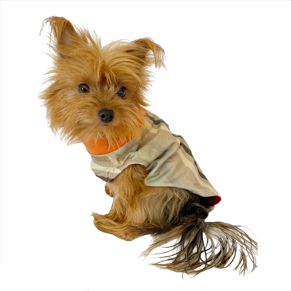 Stripe Orange Su itici Yağmurluk Köpek Yağmurluğu - 9