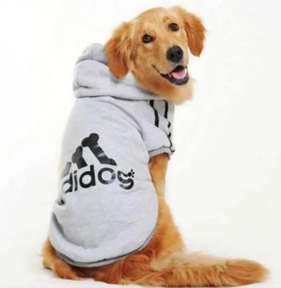 Gri Adidog Kapşonlu Sweatshirt, Orta ve Büyük Irklar İçin