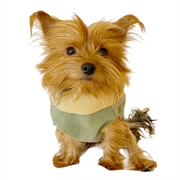 Chamois Su Yeşili Köpekler için Güderi Görünümlü Ceket - 7