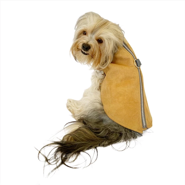 Chamois BB Kahverengi Köpekler için Güderi Görünümlü Ceket - 7