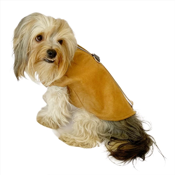 Chamois BB Kahverengi Köpekler için Güderi Görünümlü Ceket - 6