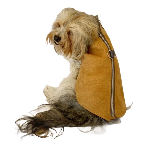 Chamois BB Kahverengi Köpekler için Güderi Görünümlü Ceket - 2