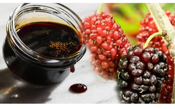 Karadut Pekmezi 865 gr Şekersiz Katkısız 1 Adet - 2