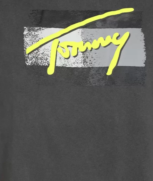 Tommy Hilfiger Erkek Tişört - 5