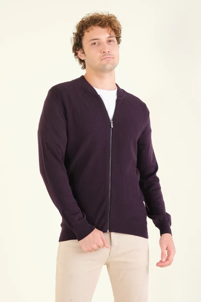 Erkek Hakim Yaka Petek Örgü Fermuarlı Hırka Mor - 2