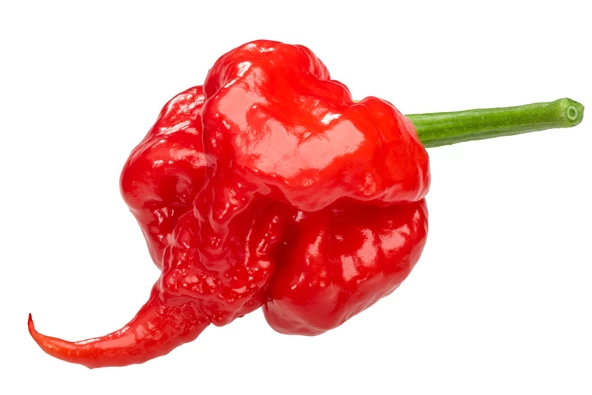 Dünyanın En Acı Biber Tohumu (Trinidat Scorpion) Ekim Seti 5 Adet Tohum - 1