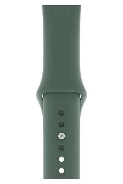 Watch Uyumlu 42-44-45-46-49 mm Uyumlu A Kalite Düz Kordon Kayış Silikon Bileklik - 7