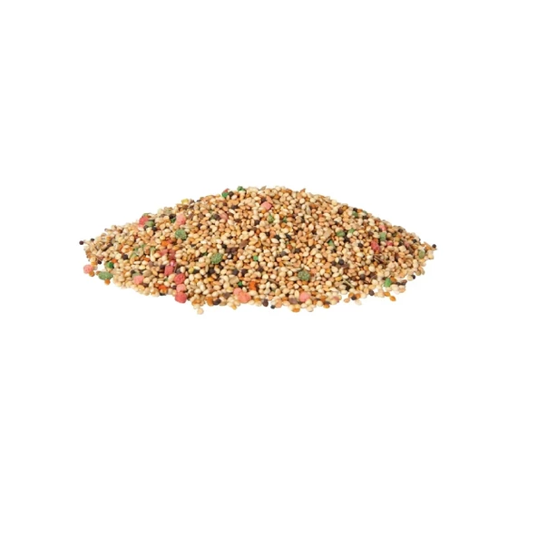Karışık Renkli Muhabbet Kuş Yemi 500 gr, Derya Eren - 3