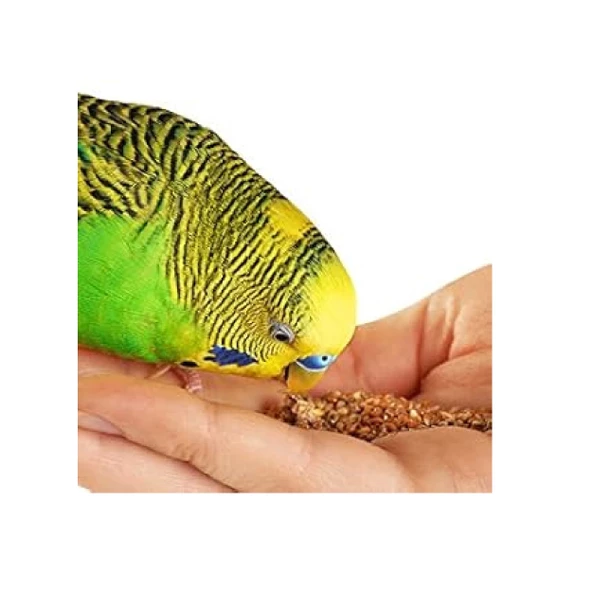 Karışık Renkli Muhabbet Kuş Yemi 250 gr, Derya Eren - Resim 4