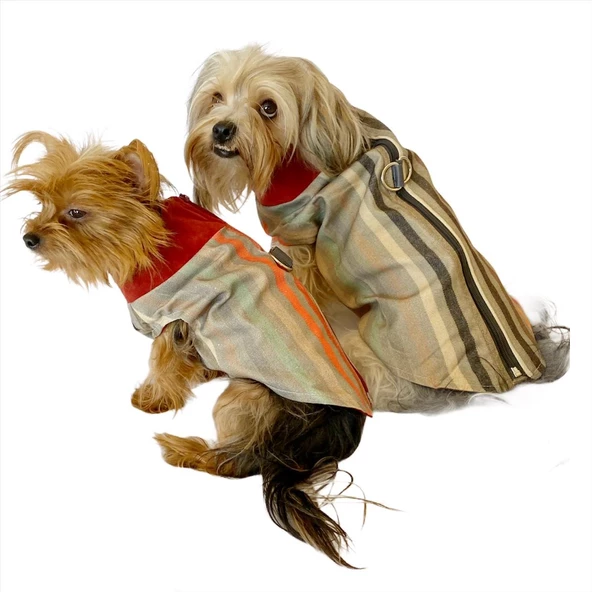 Stripe Bordo Su itici Yağmurluk Köpek Yağmurluğu - 9