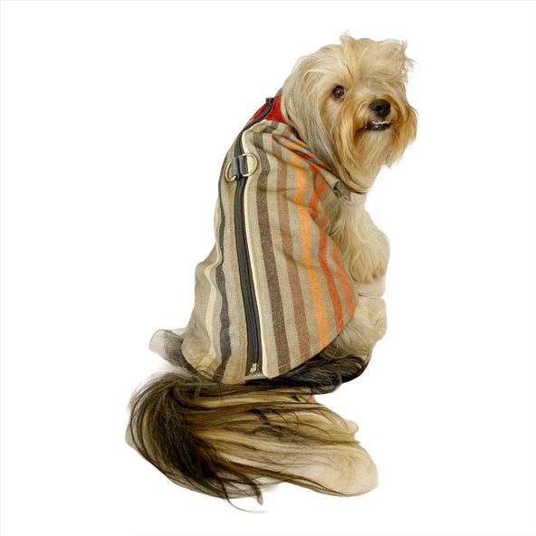 Stripe Bordo Su itici Yağmurluk Köpek Yağmurluğu - 8