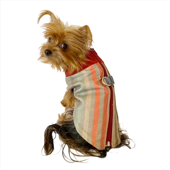 Stripe Bordo Su itici Yağmurluk Köpek Yağmurluğu