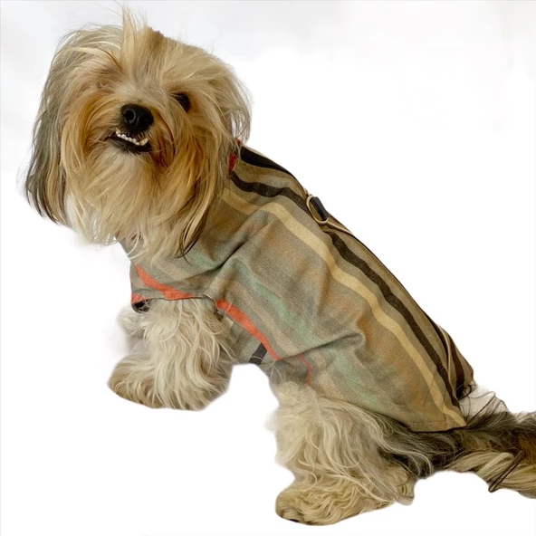 Stripe Bordo Su itici Yağmurluk Köpek Yağmurluğu - 5