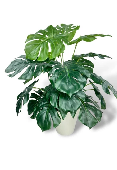 Nettenevime Yapay Çiçek Krem Saksıda Monstera Deve Tabanı Yeşil Doğal Dokulu 18Dal 50cm Salon Çiçeği Yapay Bitki - Resim 3