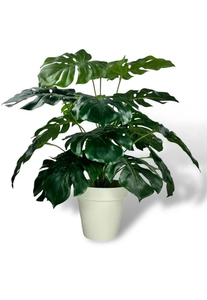 Nettenevime Yapay Çiçek Krem Saksıda Monstera Deve Tabanı Yeşil Doğal Dokulu 18Dal 50cm Salon Çiçeği Yapay Bitki - Resim 4