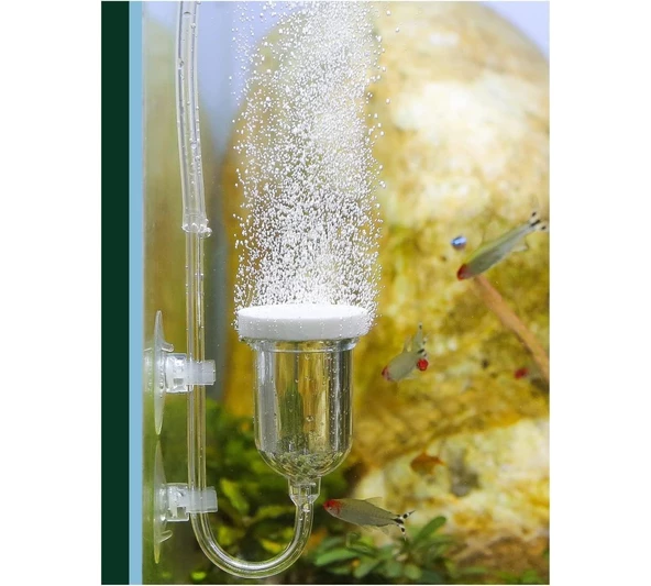 Akvaryum Co2 Diffüzör 25mm İthal ürün görseli