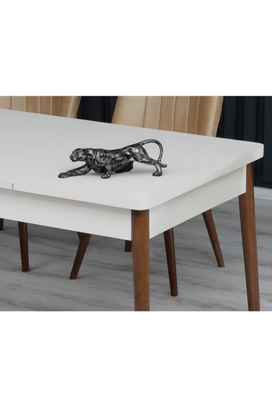 FLORİT MOBİLYA Oya Serisi 80x130 Açılabilir,6 Kişilik Mutfak Masası Takımı, Yemek Masası Takımı, Masa Takımı- Gri - 4
