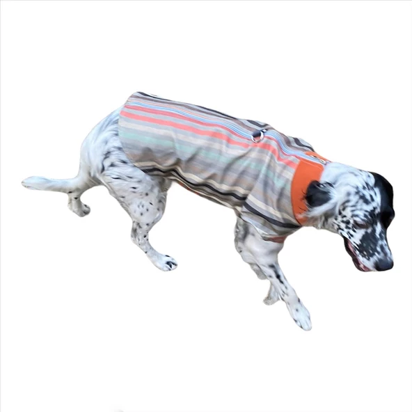 Stripe Orange Köpek Ceketi, Orta ve Büyük ırklar için - 7