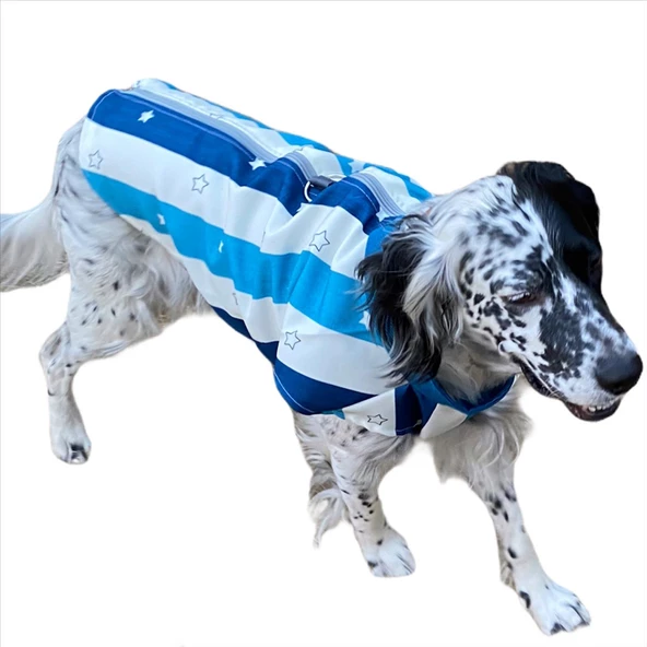 Blue Stars Su İtici Köpek Yağmurluğu ,Orta ve Büyük Irklar İçin - 5