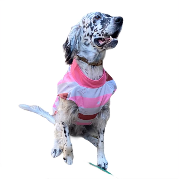 Pink Stars Su İtici Köpek Yağmurluğu , Orta ve Büyük Irklar İçin - 6